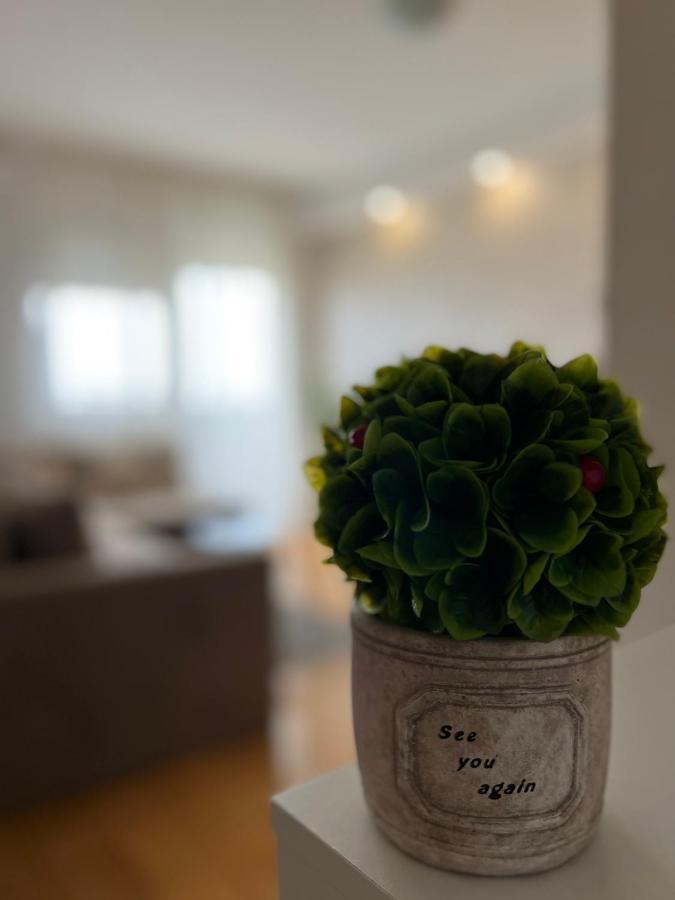 Apartament Delete 4 Belgrad Zewnętrze zdjęcie